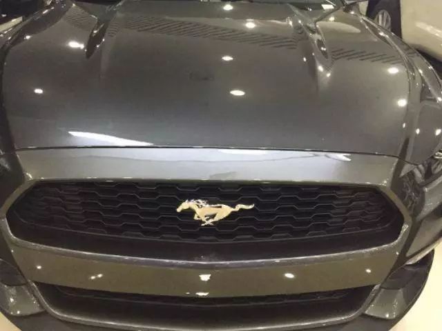[車標]這四個車都用馬做車標