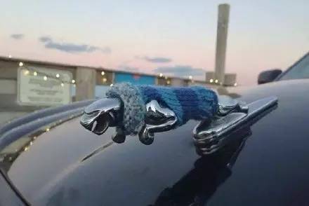 車標都被玩壞了！這些車主一個個都是戲精吧 但較酷的居然是…