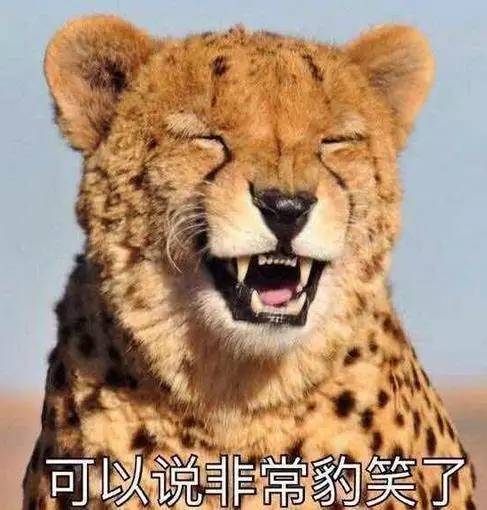 車標都被玩壞了！這些車主一個個都是戲精吧 但較酷的居然是…