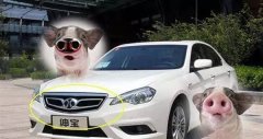 哪些汽車車標最不受國人待見
