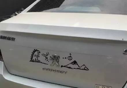 車(chē)標(biāo)都被玩壞了！這些車(chē)主一個(gè)個(gè)都是戲精吧 但較酷的居然是…