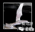 這些以動(dòng)物為原形的車標(biāo) 你能認(rèn)出幾個(gè)？