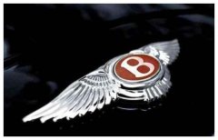 這幾個車標(biāo)帶「B」的品牌，你