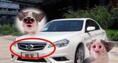 全球最美車標排行榜出爐，勞