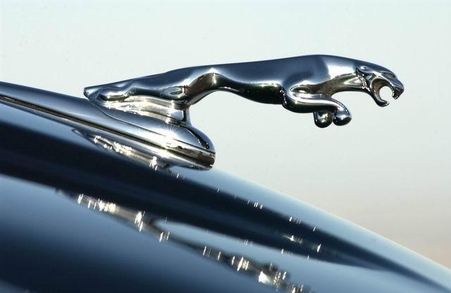 全球7大動物車標(biāo)，我只見過5個，你見過幾個？