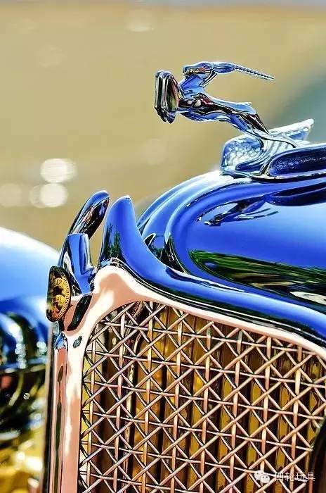 全球較美車標(biāo)！見過10%以上的堪比車神！