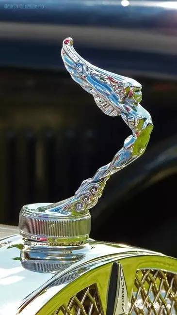 全球較美車標(biāo)！見過10%以上的堪比車神！