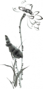 六大全球最有范車標(biāo)：奔馳領(lǐng)
