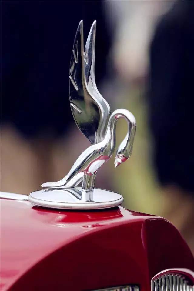 全球較罕見(jiàn)的汽車(chē)標(biāo)志，見(jiàn)過(guò)一個(gè)算你牛！