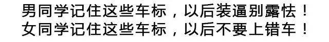 看明白這20個車標(biāo)，讓男人學(xué)會裝B，女人不再上錯車！