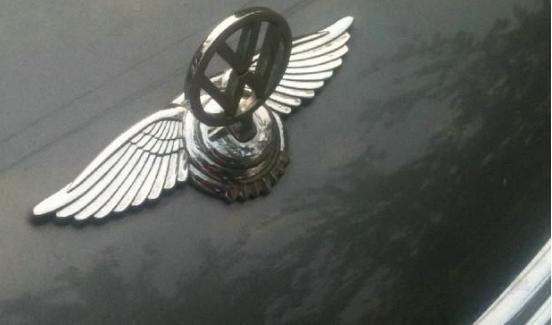 看車標(biāo)你能判斷這是什么車嗎？已被車主玩壞