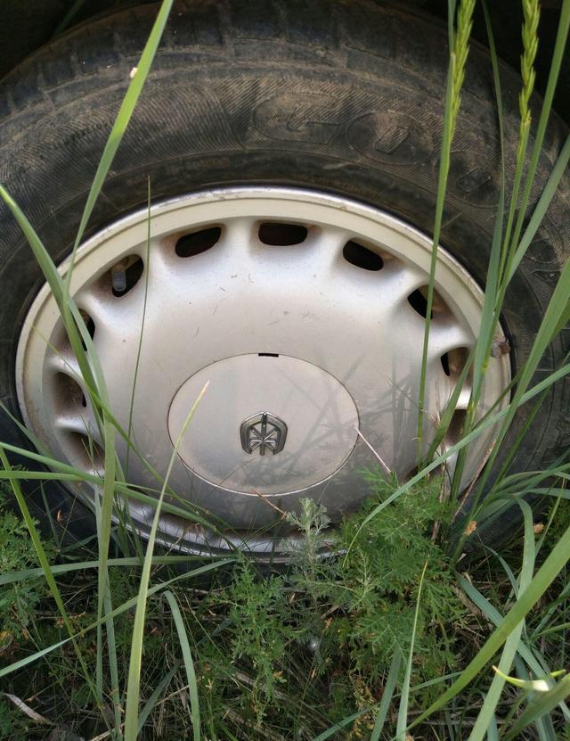 草叢里的一輛廢棄豪車無人認(rèn)領(lǐng)，認(rèn)識這個車標(biāo)的都是有故事的人
