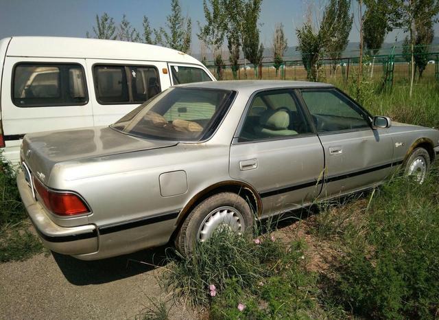 草叢里的一輛廢棄豪車無人認(rèn)領(lǐng)，認(rèn)識這個車標(biāo)的都是有故事的人