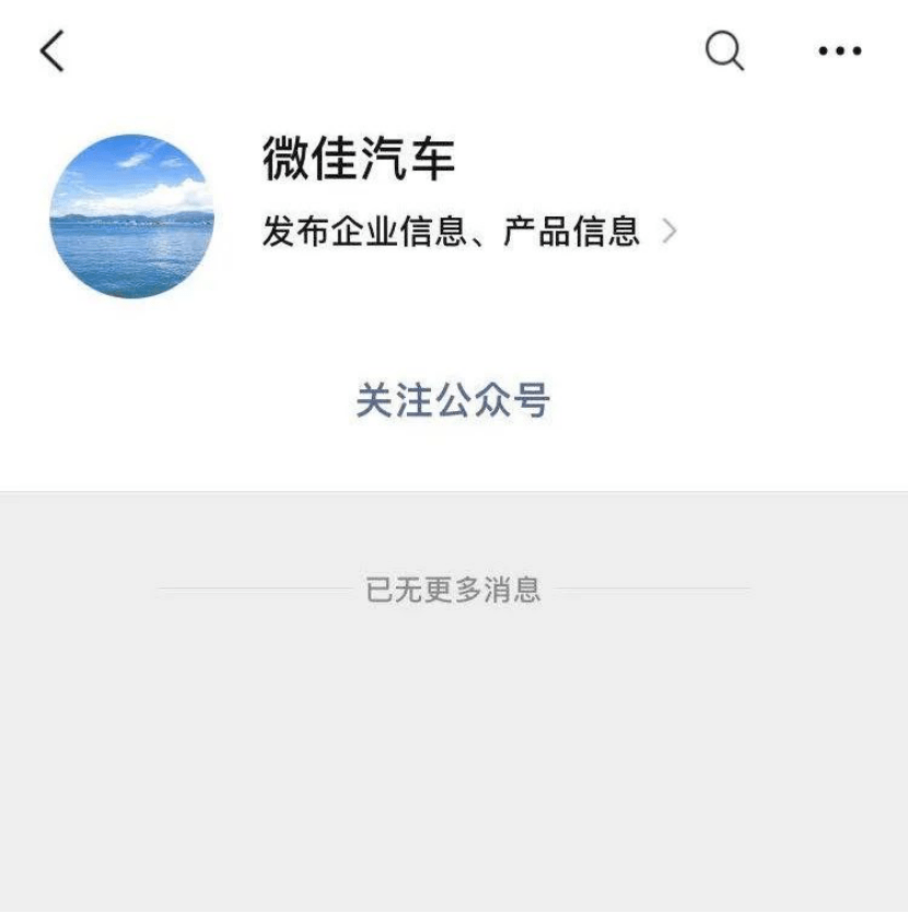 人怕出名豬怕壯，山寨車標(biāo)你較棒