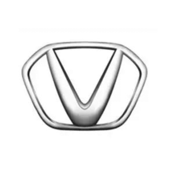 人怕出名豬怕壯，山寨車標(biāo)你較棒
