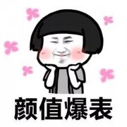 吉利換標，寶駿換標，奔騰也