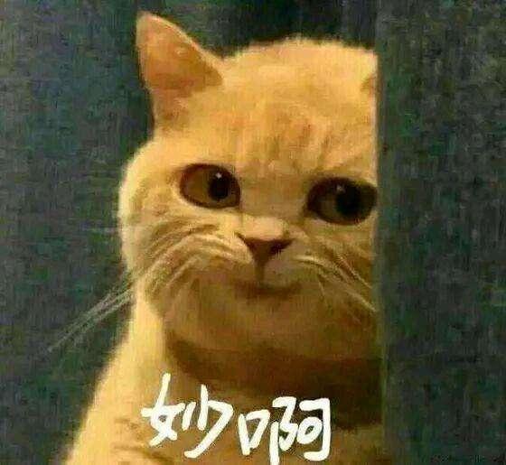 勞斯萊斯車標(biāo)的伸縮功能，不僅僅是為了防丟設(shè)計(jì)的！